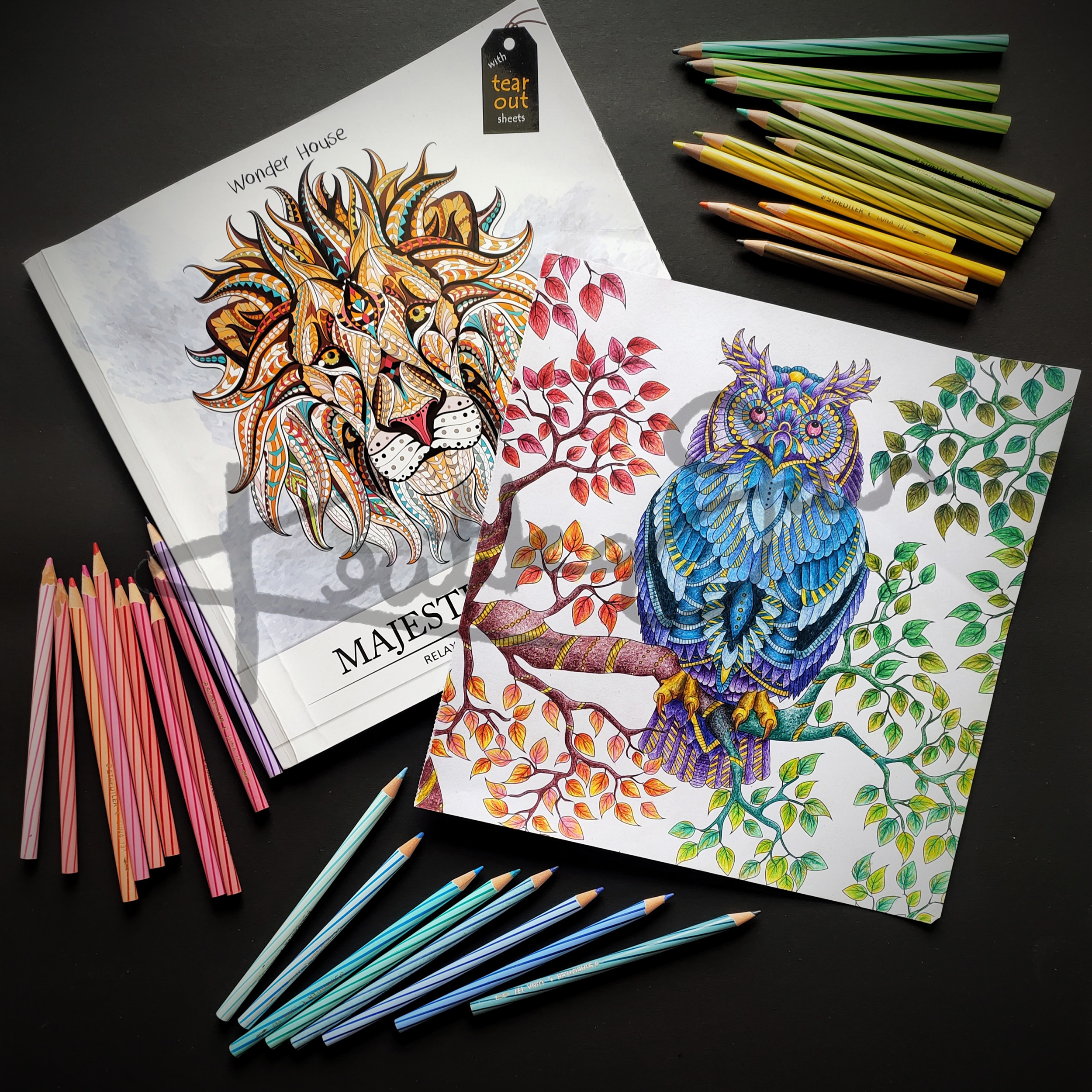 Coloring – A New Hobby For Adults?